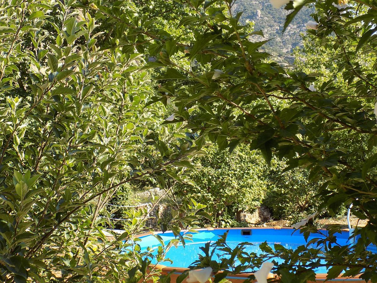 Guesthouse Eleftherios Kalávryta Eksteriør bilde